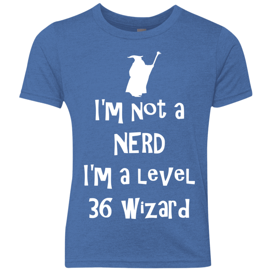 Not a Nerd Youth Triblend T-Shirt