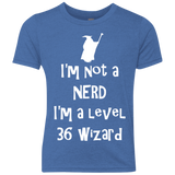 Not a Nerd Youth Triblend T-Shirt