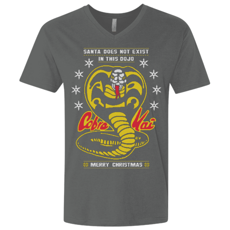 T-Shirts Heavy Metal / X-Small NOT IN THIS DOJO Men's Premium V-Neck
