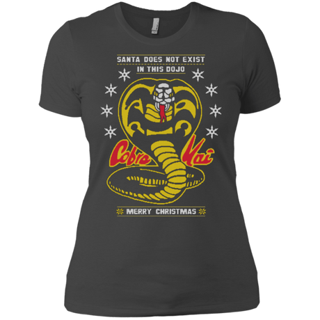 T-Shirts Heavy Metal / X-Small NOT IN THIS DOJO Women's Premium T-Shirt