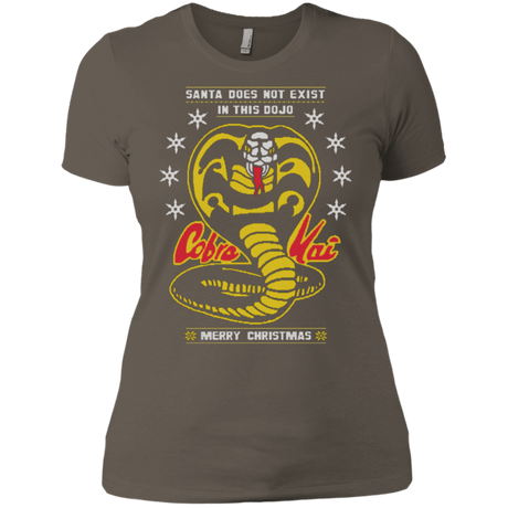 T-Shirts Warm Grey / X-Small NOT IN THIS DOJO Women's Premium T-Shirt