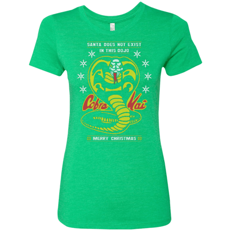 T-Shirts Envy / Small NOT IN THIS DOJO Women's Triblend T-Shirt