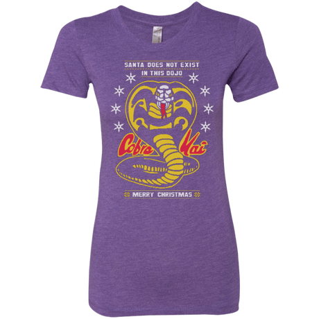 T-Shirts Purple Rush / Small NOT IN THIS DOJO Women's Triblend T-Shirt