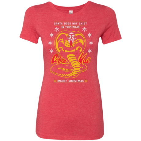 T-Shirts Vintage Red / Small NOT IN THIS DOJO Women's Triblend T-Shirt