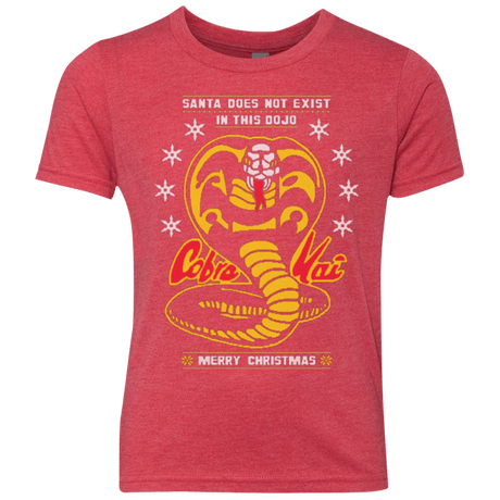 T-Shirts Vintage Red / YXS NOT IN THIS DOJO Youth Triblend T-Shirt