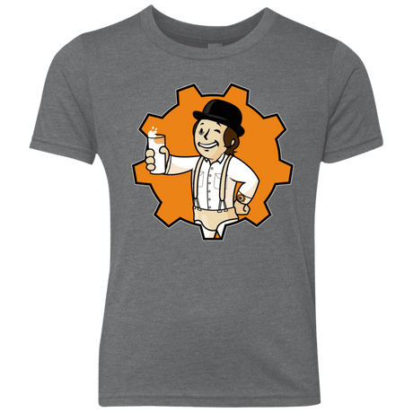 T-Shirts Premium Heather / YXS Nuka Milk Youth Triblend T-Shirt