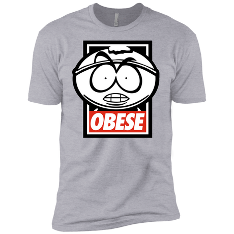 T-Shirts Heather Grey / YXS Obese Boys Premium T-Shirt