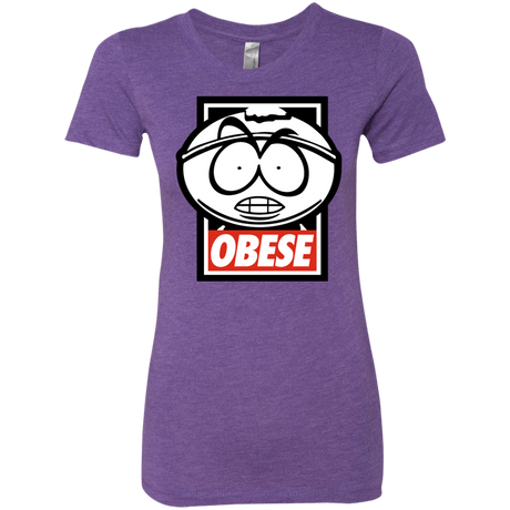 T-Shirts Purple Rush / S Obese Women's Triblend T-Shirt