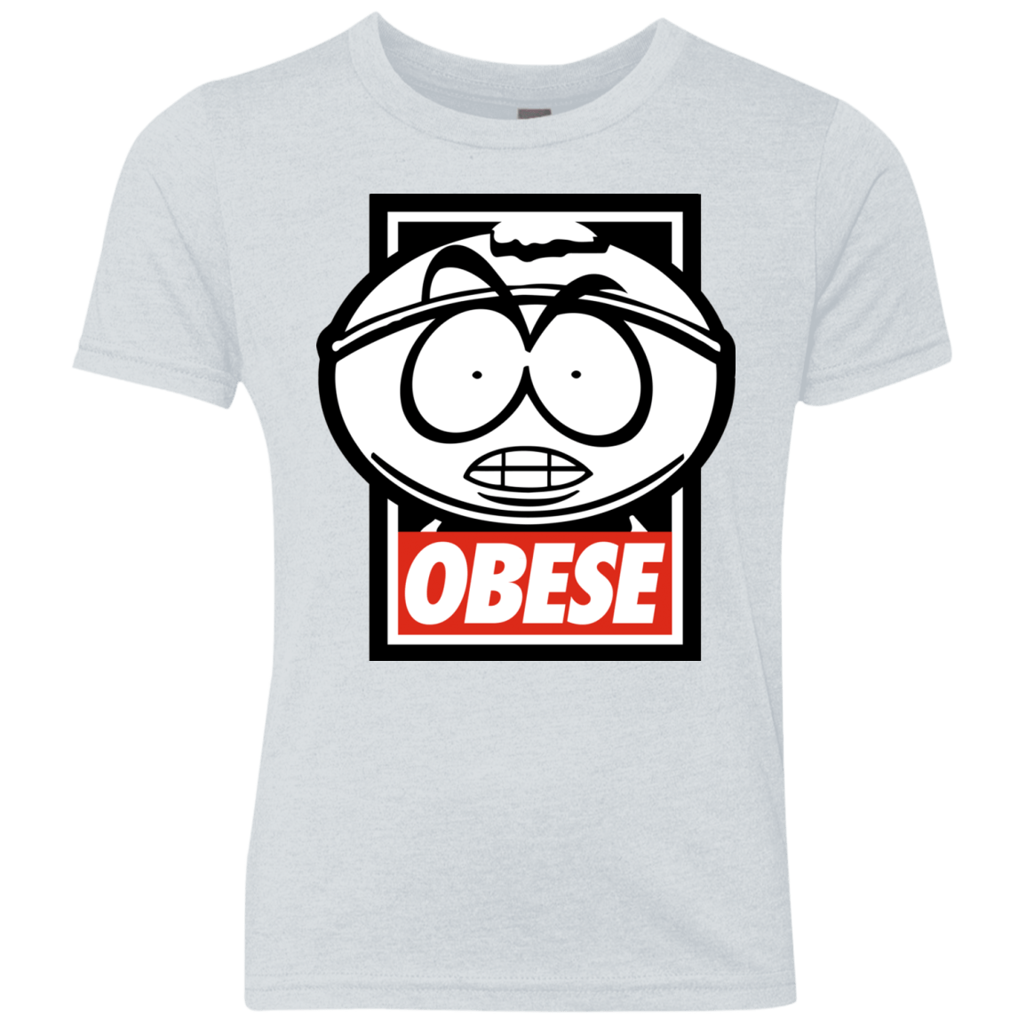 T-Shirts Heather White / YXS Obese Youth Triblend T-Shirt