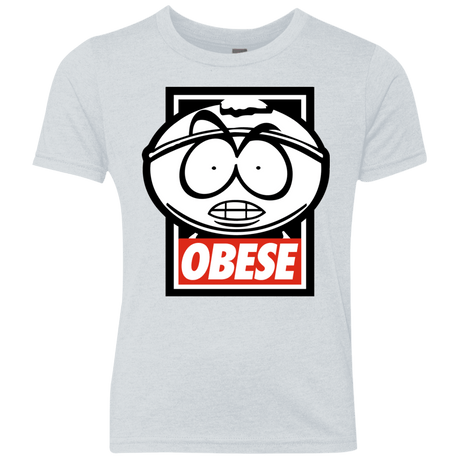 T-Shirts Heather White / YXS Obese Youth Triblend T-Shirt