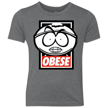 T-Shirts Premium Heather / YXS Obese Youth Triblend T-Shirt
