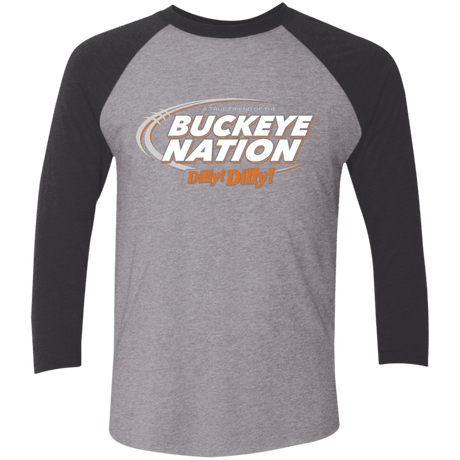 T-Shirts Premium Heather/ Vintage Black / X-Small Ohio State Dilly Dilly Men's Triblend 3/4 Sleeve