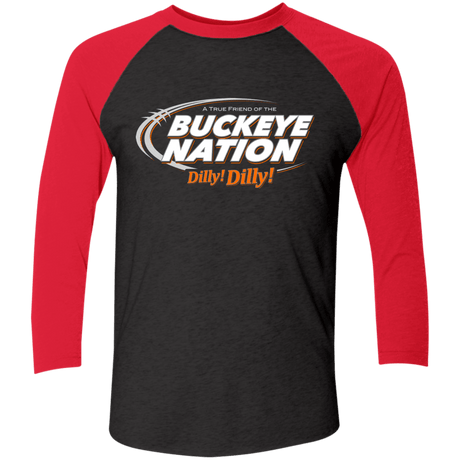 Ohio State Dilly Dilly Men's Triblend 3/4 Sleeve