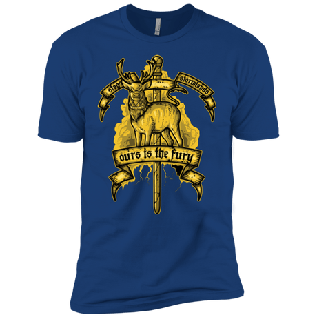 T-Shirts Royal / YXS OURS IS THE FURY Boys Premium T-Shirt
