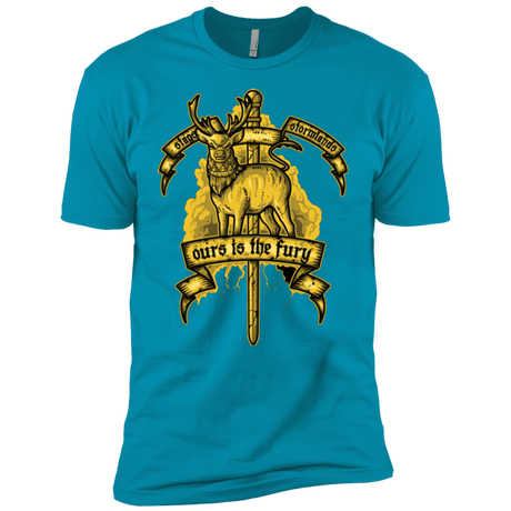 T-Shirts Turquoise / YXS OURS IS THE FURY Boys Premium T-Shirt