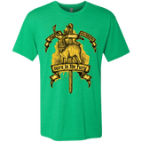 T-Shirts Envy / Small OURS IS THE FURY Men's Triblend T-Shirt