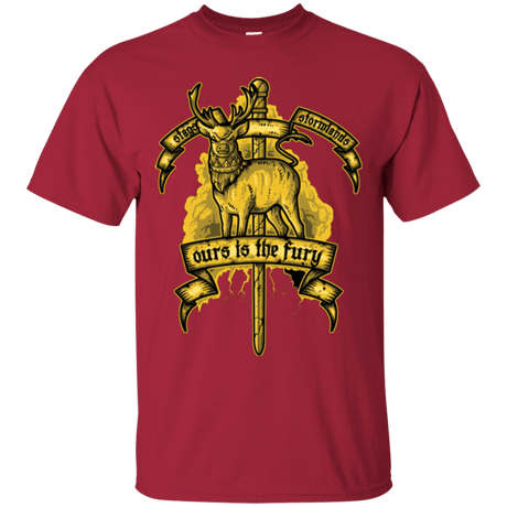 T-Shirts Cardinal / Small OURS IS THE FURY T-Shirt