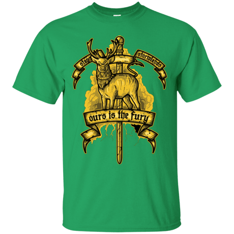 T-Shirts Irish Green / Small OURS IS THE FURY T-Shirt