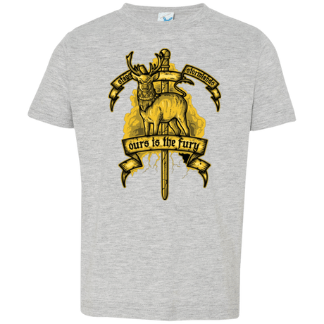 T-Shirts Heather / 2T OURS IS THE FURY Toddler Premium T-Shirt