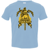 T-Shirts Light Blue / 2T OURS IS THE FURY Toddler Premium T-Shirt
