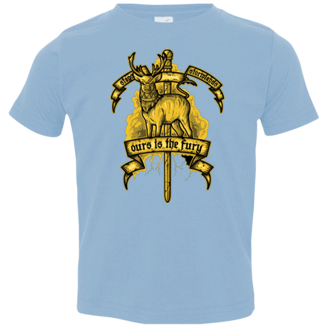 T-Shirts Light Blue / 2T OURS IS THE FURY Toddler Premium T-Shirt