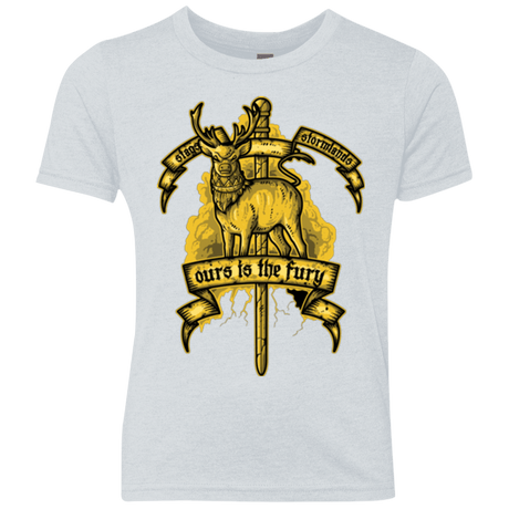 T-Shirts Heather White / YXS OURS IS THE FURY Youth Triblend T-Shirt