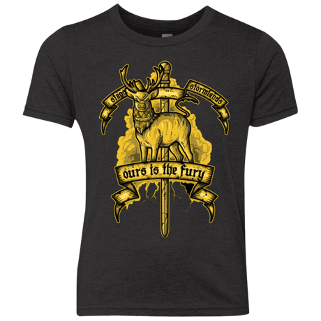 T-Shirts Vintage Black / YXS OURS IS THE FURY Youth Triblend T-Shirt