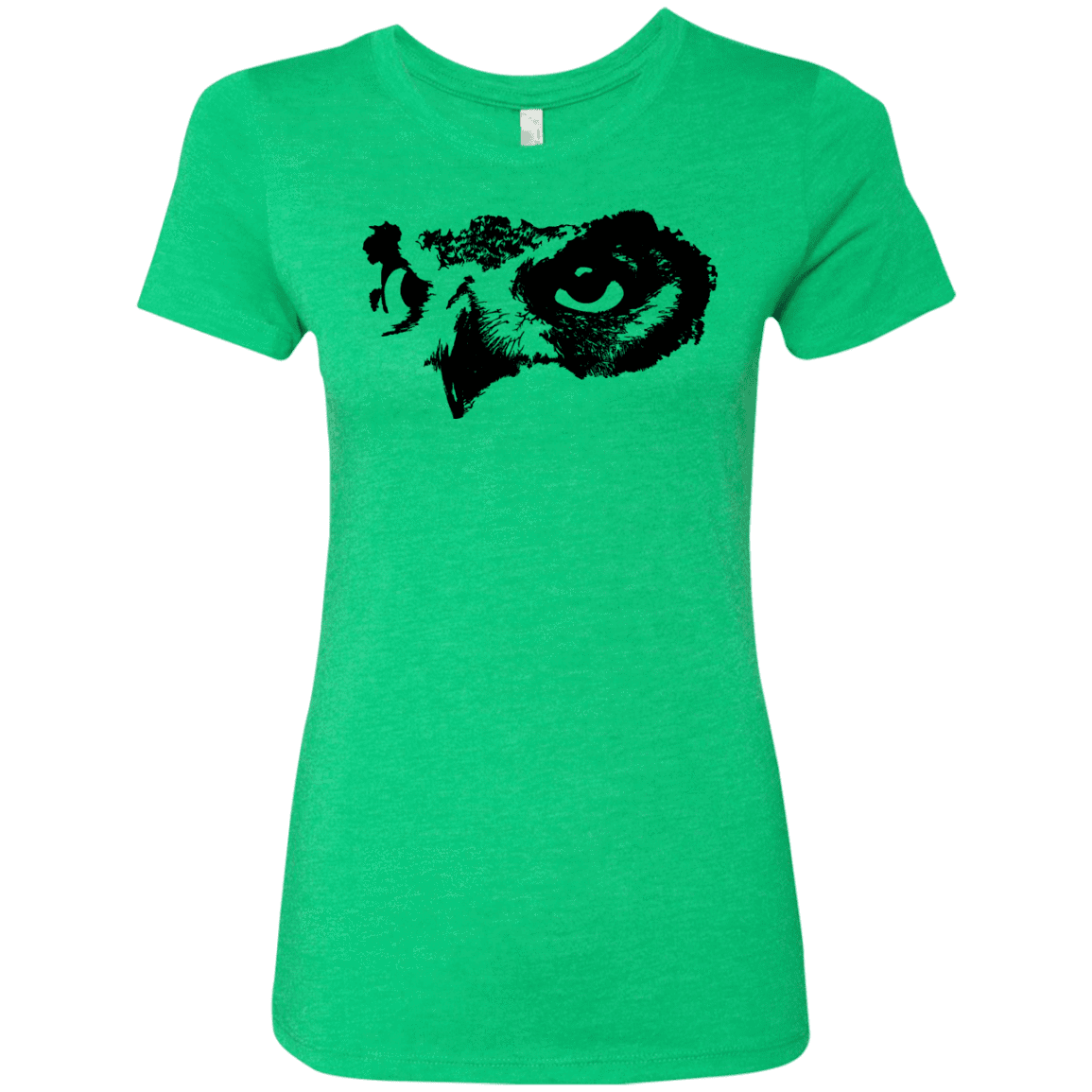 T-Shirts Envy / S Owl Eyes Women's Triblend T-Shirt