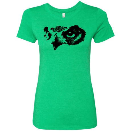 T-Shirts Envy / S Owl Eyes Women's Triblend T-Shirt
