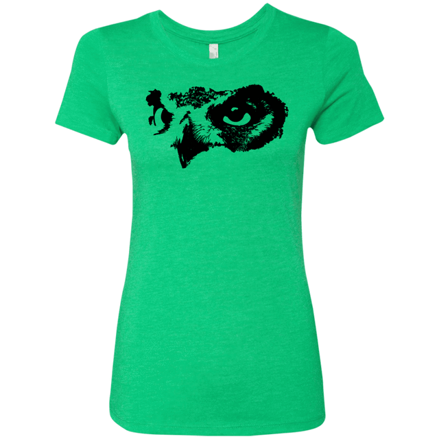 T-Shirts Envy / S Owl Eyes Women's Triblend T-Shirt