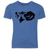 Owl Eyes Youth Triblend T-Shirt