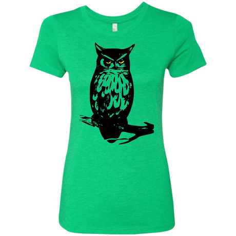 T-Shirts Envy / S Owl Portrait Women's Triblend T-Shirt