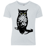 Owl Portrait Youth Triblend T-Shirt
