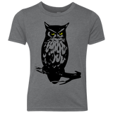 Owl Portrait Youth Triblend T-Shirt