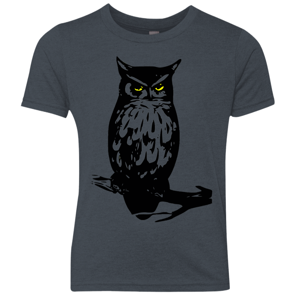 Owl Portrait Youth Triblend T-Shirt