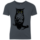 Owl Portrait Youth Triblend T-Shirt