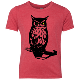 Owl Portrait Youth Triblend T-Shirt