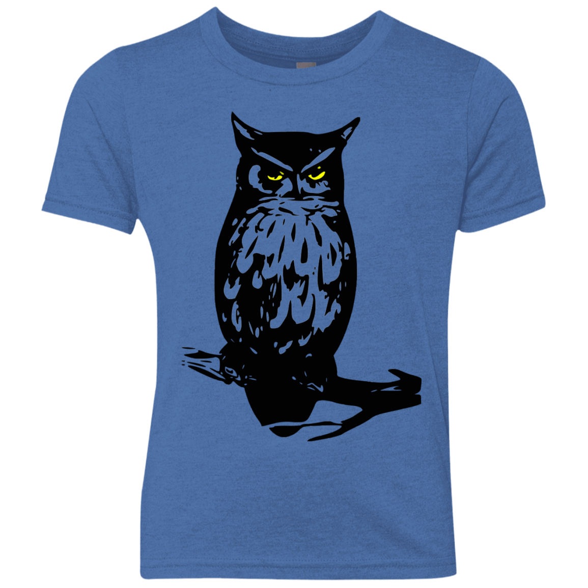 Owl Portrait Youth Triblend T-Shirt