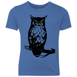 Owl Portrait Youth Triblend T-Shirt