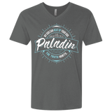T-Shirts Heavy Metal / X-Small Paladin Men's Premium V-Neck