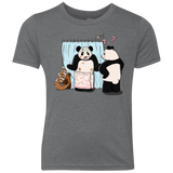 T-Shirts Premium Heather / YXS Panda Infidelity Youth Triblend T-Shirt