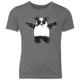 Panda Ink Youth Triblend T-Shirt
