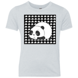Panda Youth Triblend T-Shirt