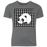 Panda Youth Triblend T-Shirt