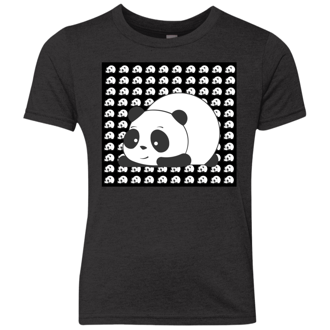 Panda Youth Triblend T-Shirt