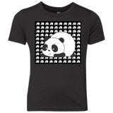 Panda Youth Triblend T-Shirt