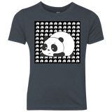 Panda Youth Triblend T-Shirt