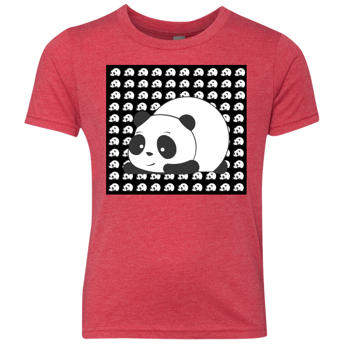 Panda Youth Triblend T-Shirt
