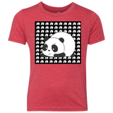 Panda Youth Triblend T-Shirt