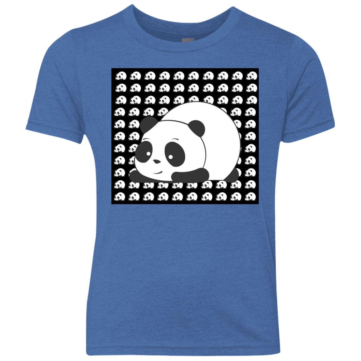 Panda Youth Triblend T-Shirt